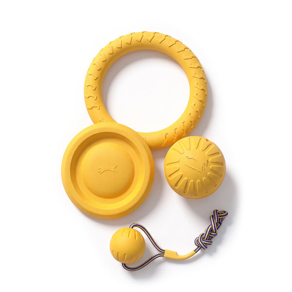 4-Piece EVA Foam Interactive Dog Toy Set