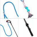 Dog Teaser Wand