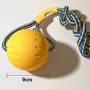 4-Piece EVA Foam Interactive Dog Toy Set