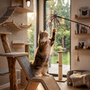 Pet Feline Teaser