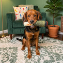 Paw Joint Dog Toy