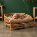 Rattan Pet Daybed