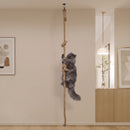 Cat Sisal Climbing Rope 118"