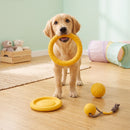 4-Piece EVA Foam Interactive Dog Toy Set