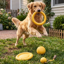 4-Piece EVA Foam Interactive Dog Toy Set