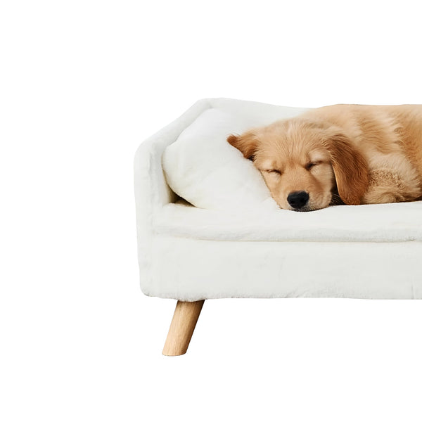 Luster Pet Sofa Bed | White