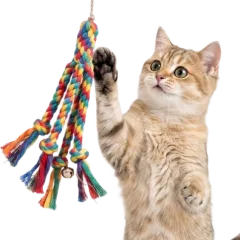Pet Toys