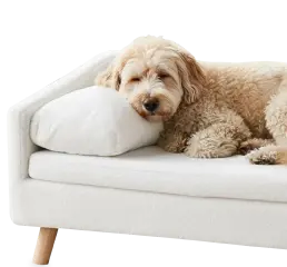 Pets Furniture
